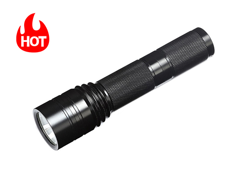 DSFB-6101