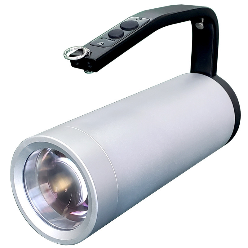 DSFB-J02
