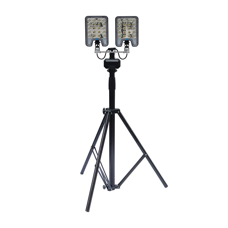 DSFY-6519